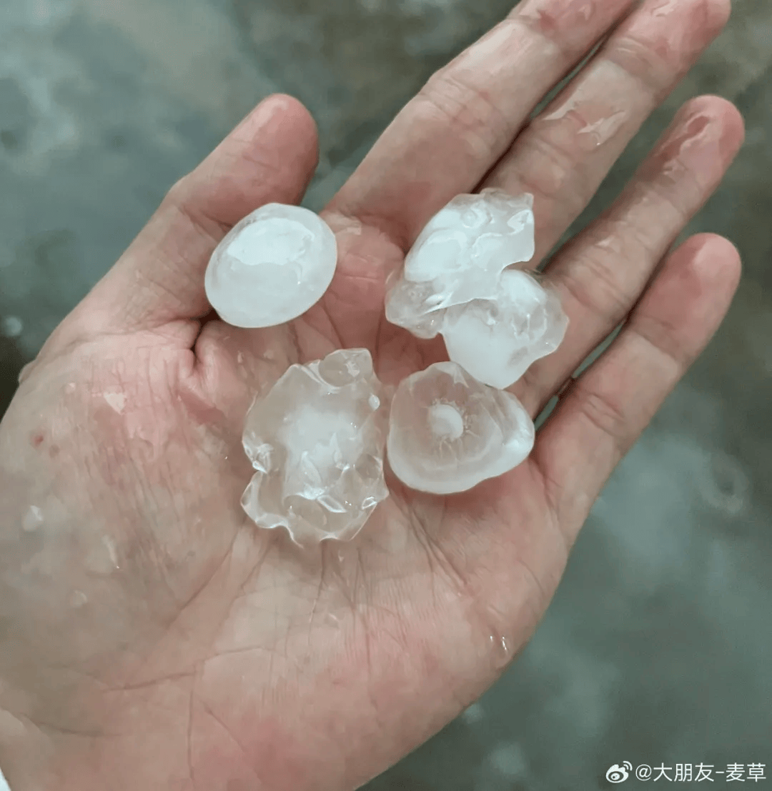 上海今天刷新多项高温纪录，明天最高29℃未来一周多阵雨