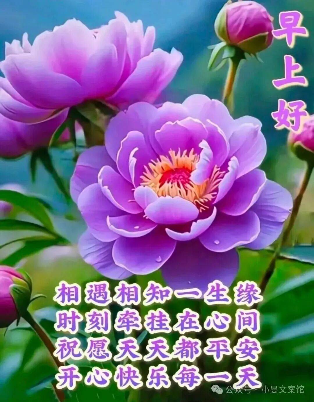 9月17日最漂亮早上好动态表情图片大全,早晨好动图美图大全