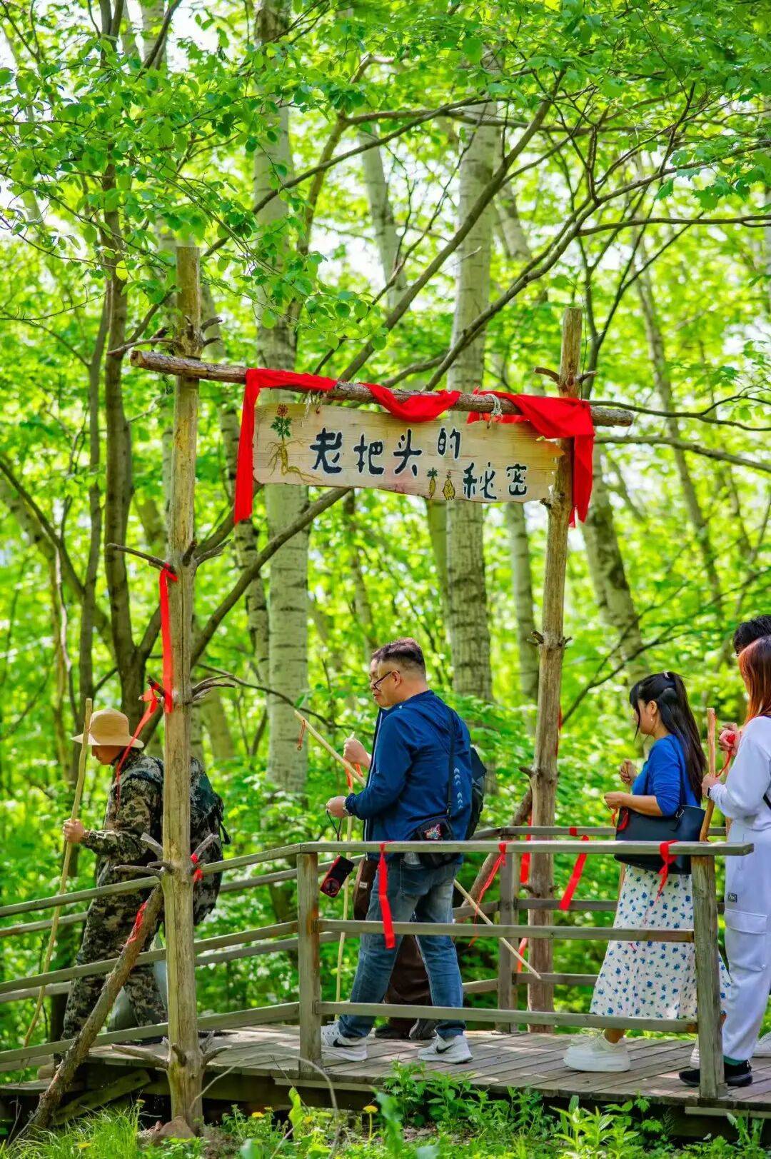 看瀑布泡温泉畅玩水上乐园带娃邂逅北国金色童话