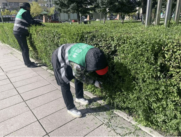 文章配图-3