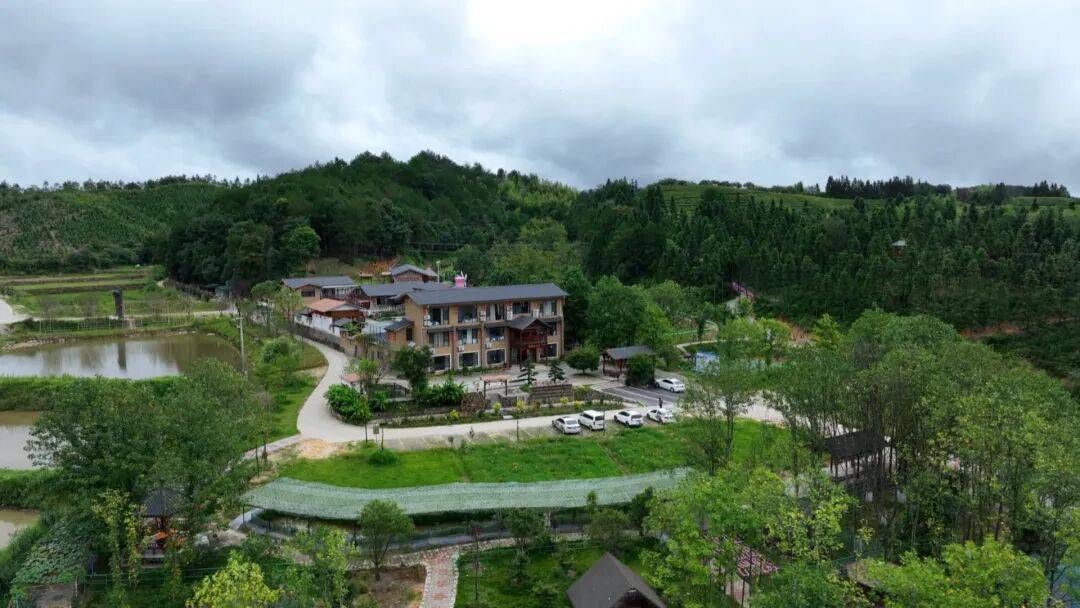 回家乡来 助乡村兴丨"杨梅西施"的山庄,藏着乡村度假的小美好