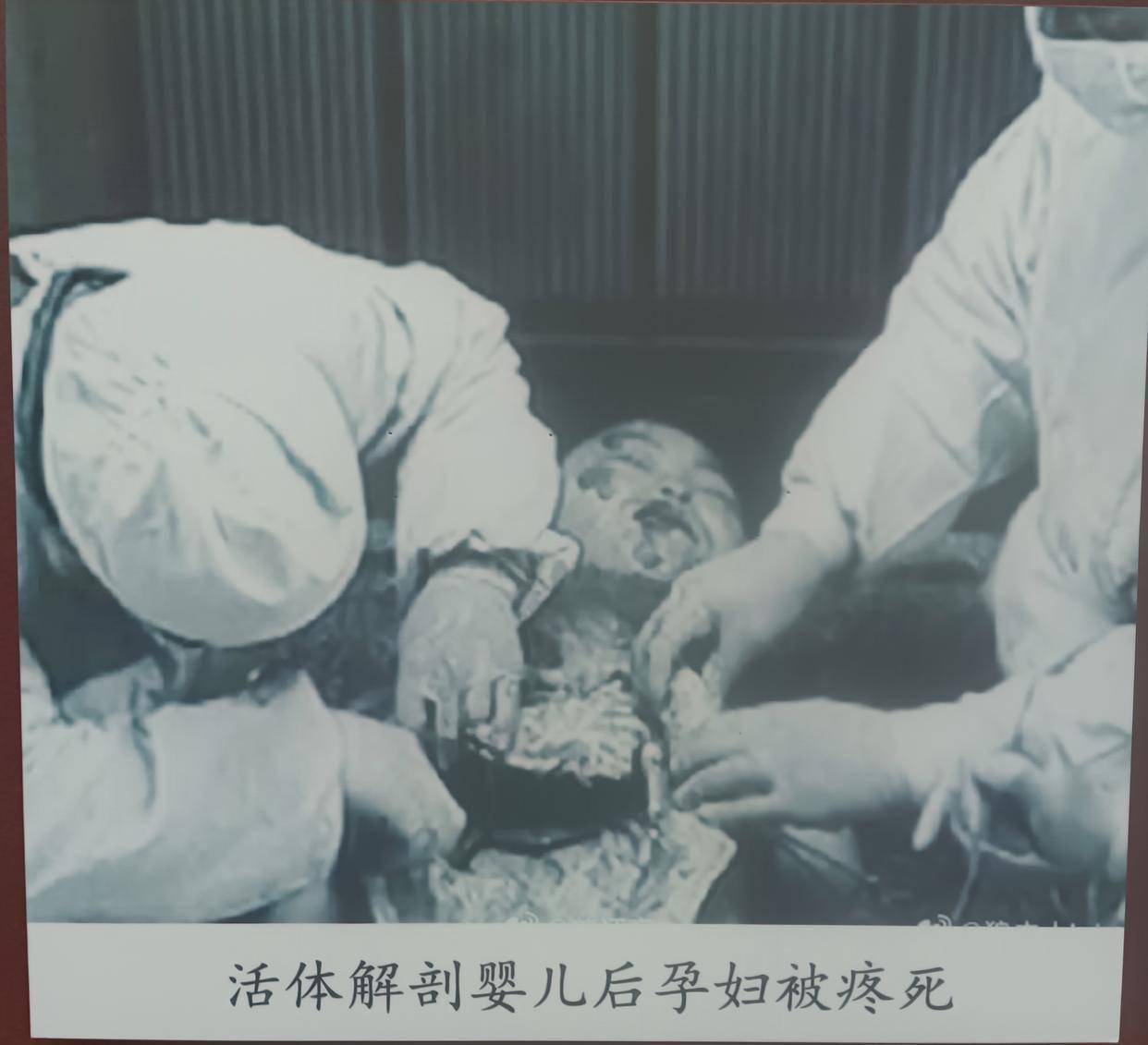 日本731部队罪行