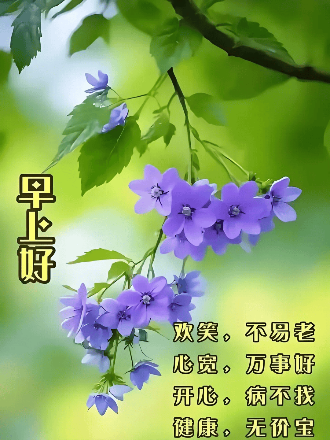 10张风景早上好问候祝福语图片,温馨漂亮的早上好祝福图片集锦