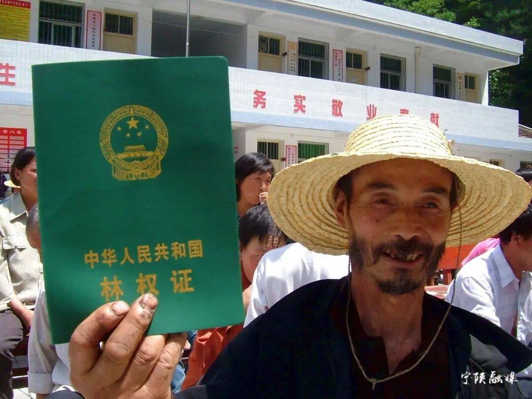 秦岭深处林改再突破 明晰权属激活绿色动能 陕西首本集体林地经营权证