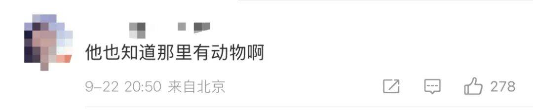 蔡国强“大闹天宫”感言曝光，始祖鸟母公司股价大跌！