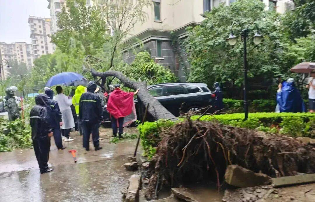 【党建风采】党员先锋在行动 服务群众显担当——记防火环控党支