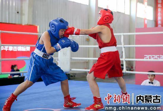 2025中俄蒙青少年拳击邀请赛：呼和浩特站即将点燃激情