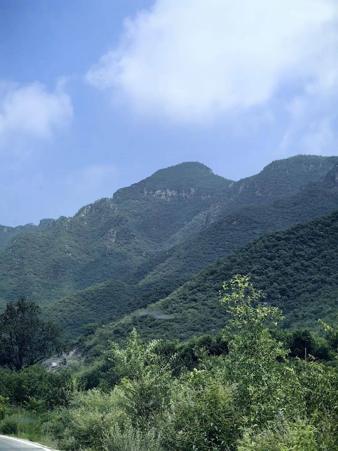 保定新晋顶流打卡地等你来解锁