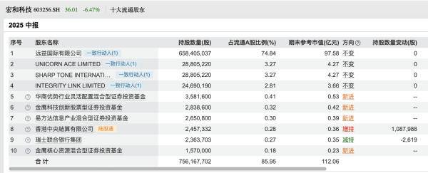 宏和科技5个多月暴涨348％，8只基金重仓押注！背后藏着哪些秘密？｜掘金百分百