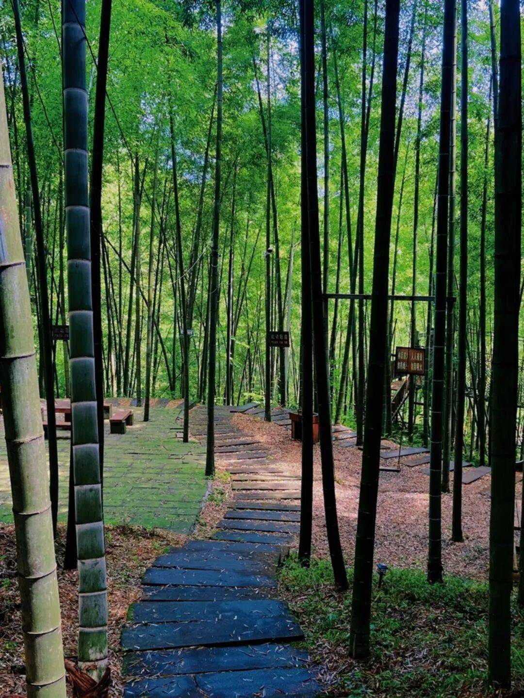 国庆中秋跟着谭晶游叙永