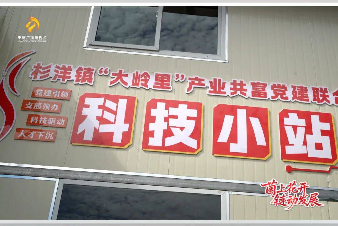 闽东先锋行 | 古田：菌上花开 “链”动发展