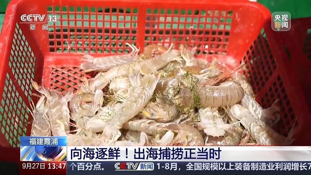 海边村镇变网红打卡点 “渔旅融合”让滨海小城出圈