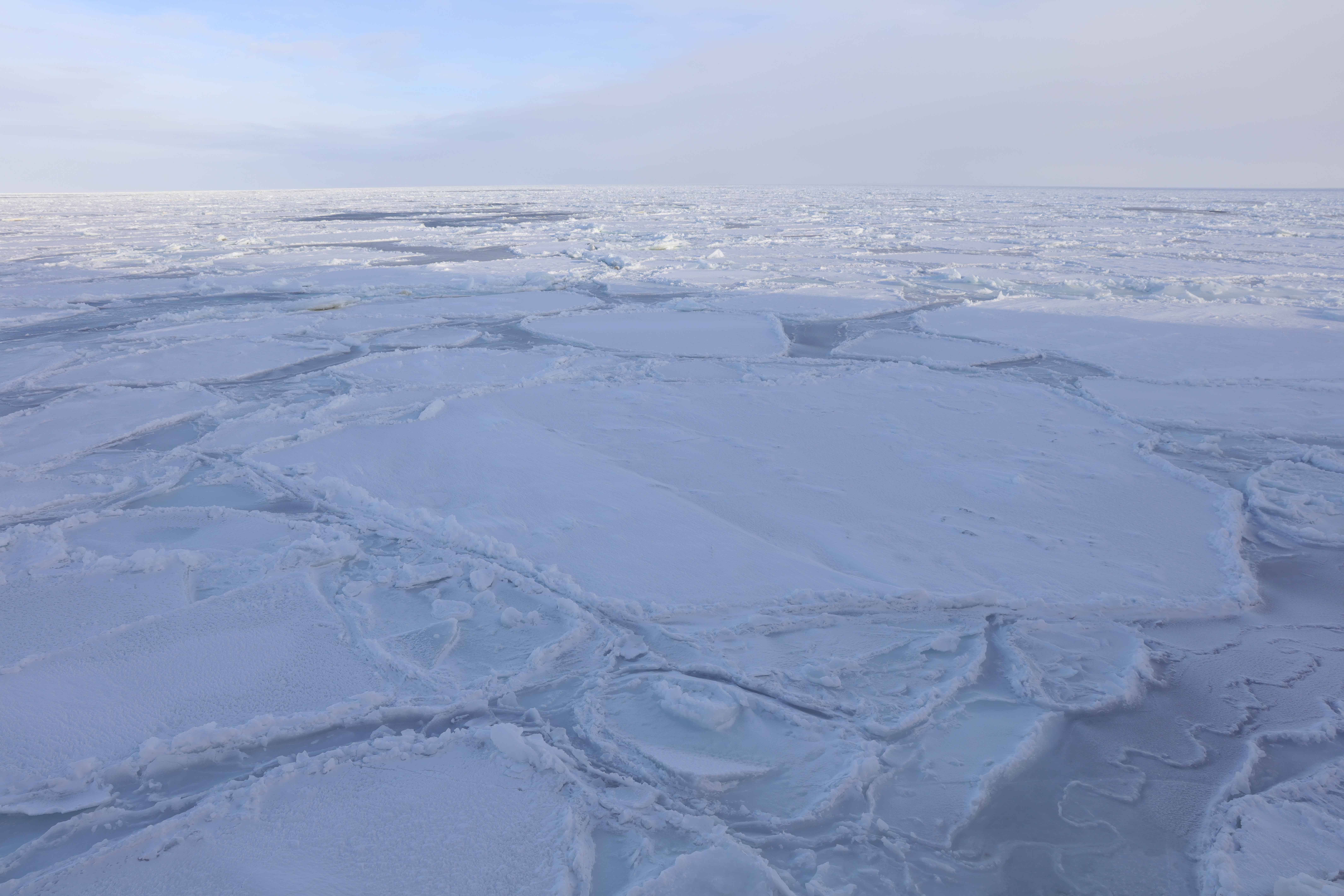 仅次于前两年 今年南极海冰范围冬季峰值为第三低