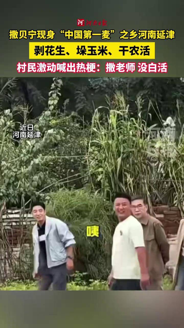 #撒贝宁现身河南延津 剥花生、垛玉米,体验乡村生活,现场村民激动喊出热梗:撒老师,没白活!