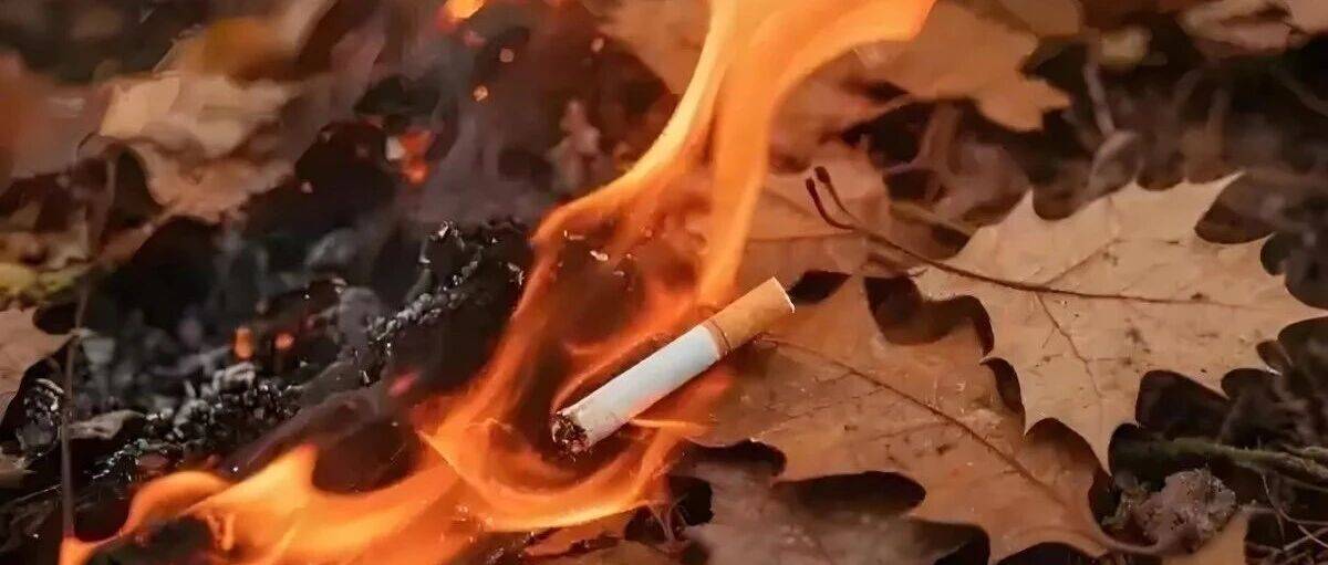 烟头虽小,火患无穷,烟民必知的消防安全课!_火灾_烟灰_明火