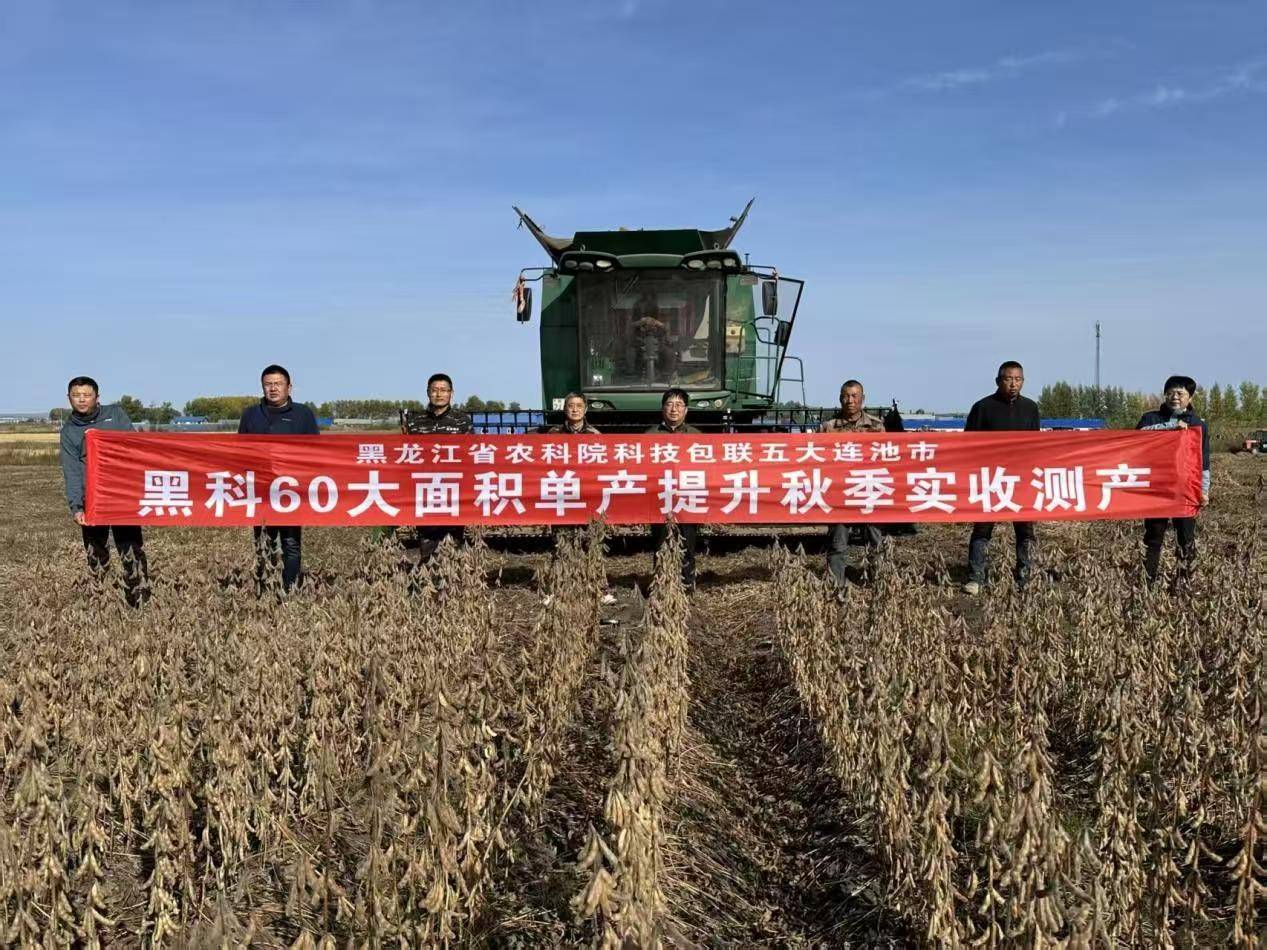 310.5公斤！黑龙江大豆单产提升取得突破性进展！