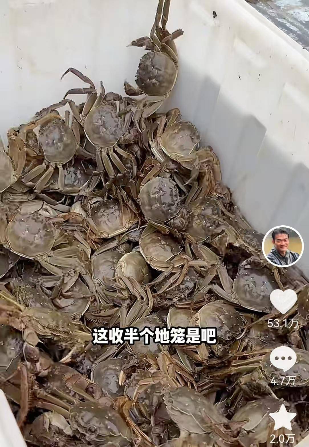 李维刚10万包蟹塘100一斤买的90一斤卖的破天荒的赚了5000元