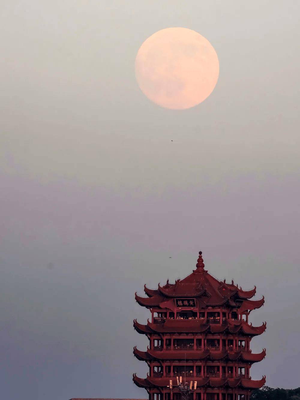 又一波中秋月亮美图,来了!