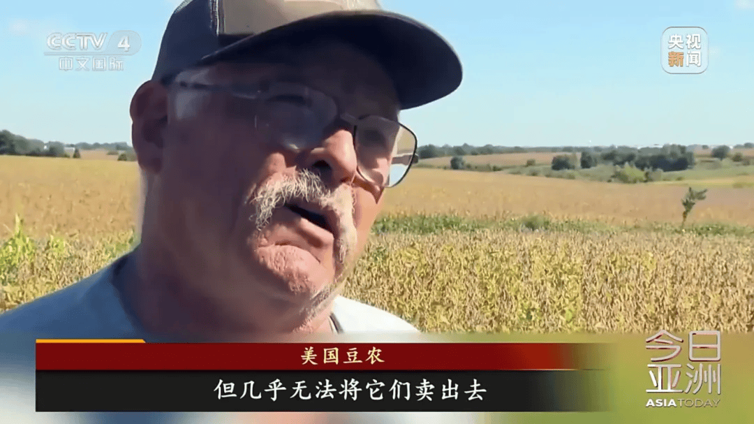 “中国一粒都没买”！大豆滞销，美国农民卖设备维持生计，“对特朗普的忠诚将接受考验”！特朗普满世界找买家，美协会急了：赶紧和中国谈