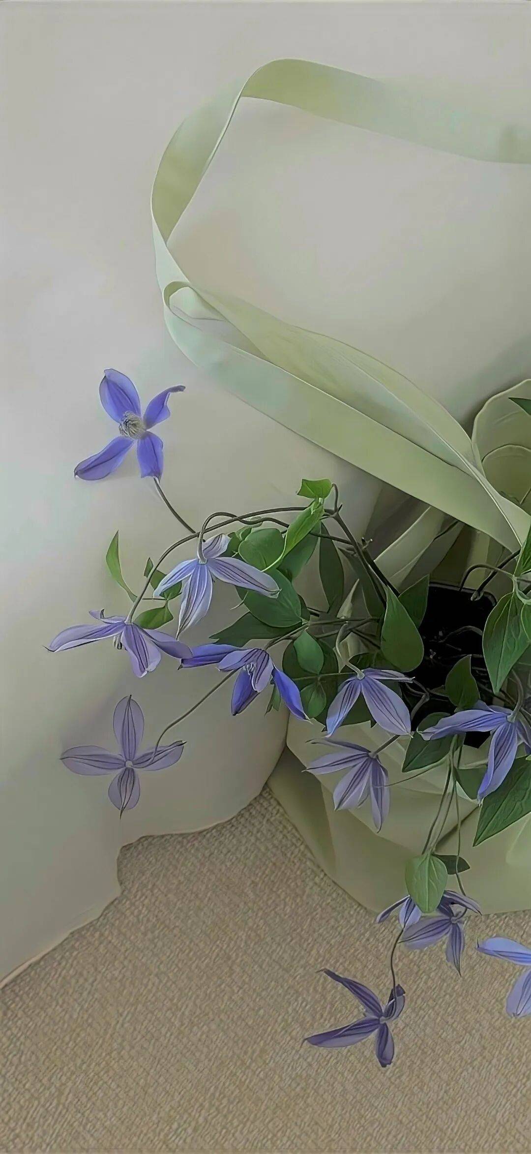 壁纸 | 高质感ins冷淡风高清壁纸