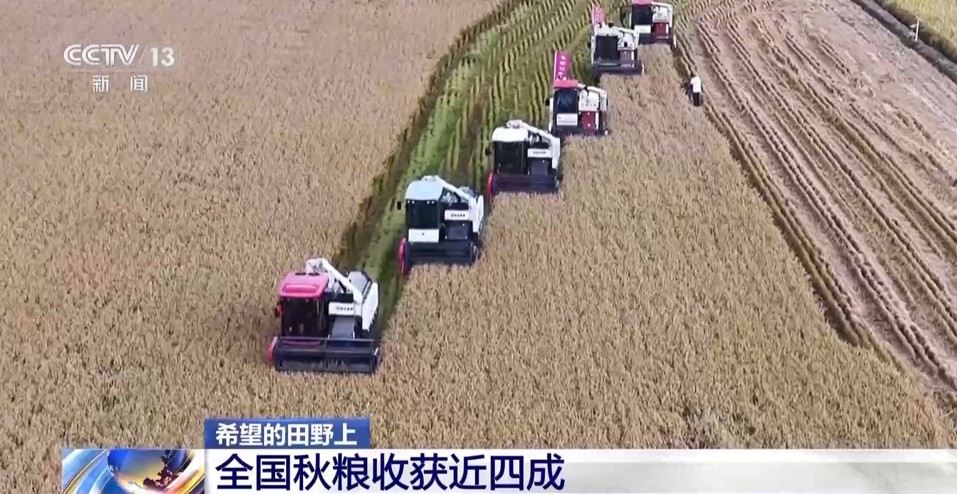 一大批农产品正走向你的餐桌！全国秋粮收获近四成