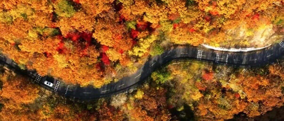 G331吉林段“变形”记——一条边疆公路的“多维进化”_文化_长白山_路面