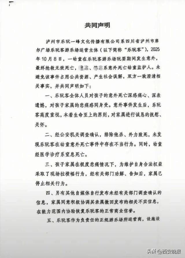 一儿童游乐场内发生意外，不幸身亡