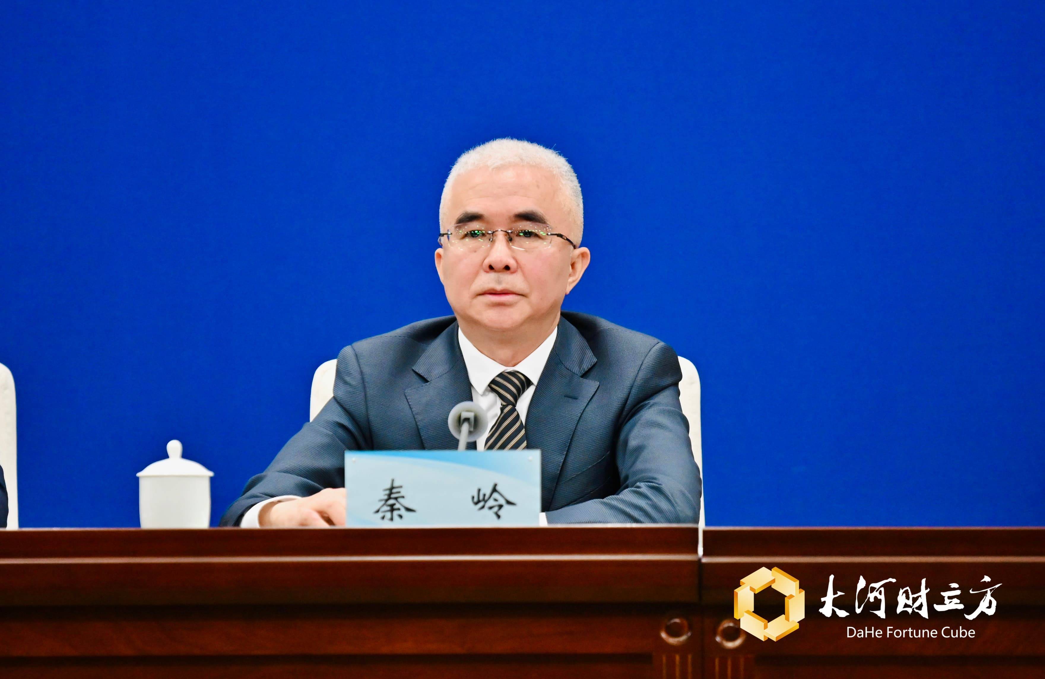 中国河南国际集团董事长秦岭：将参与灵宝金源矿业并购重整