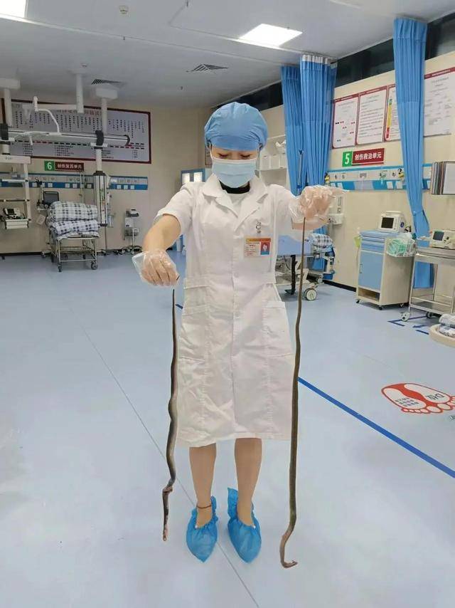 广东62岁阿叔网鱼网到2条眼镜蛇，被咬伤后当场打死，并打包提进医院