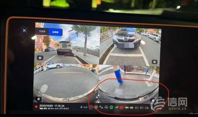 理想L9车主用自动泊车就刮坏俩轮毂 事故视频