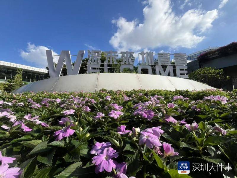 最近，很多深圳人经过这个地方，感叹“越来越有排面了”