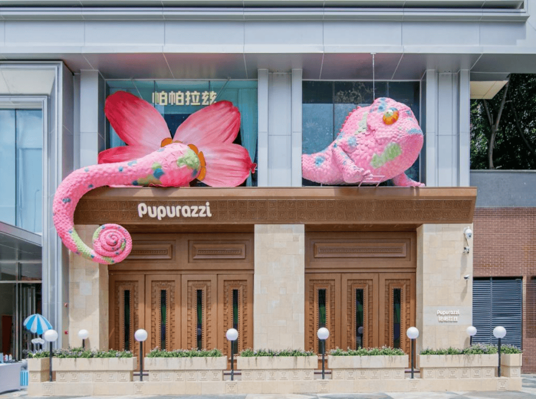 内含近4200㎡宠物店!成都龙湖三千集宠物社交 松弛生活打卡攻略