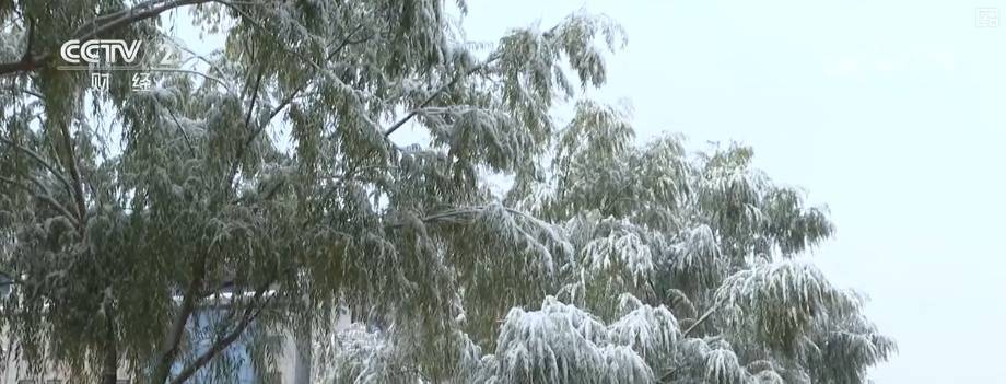 多部门协同细化服务应对“速冻式”降温 全力保障百姓生产生活
