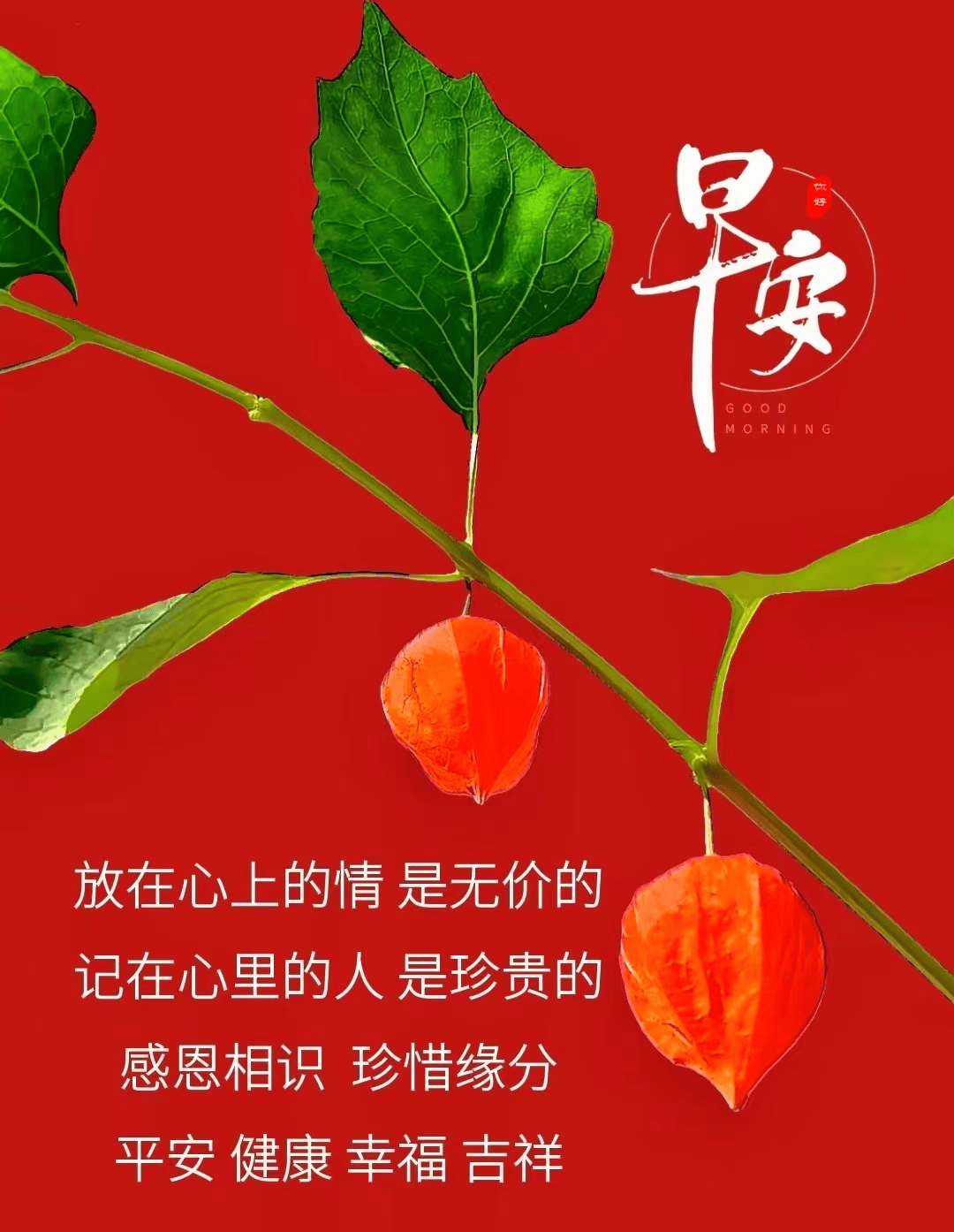 纯朴友情真挚问候_问候早安的句子_清晨祝福温暖关怀