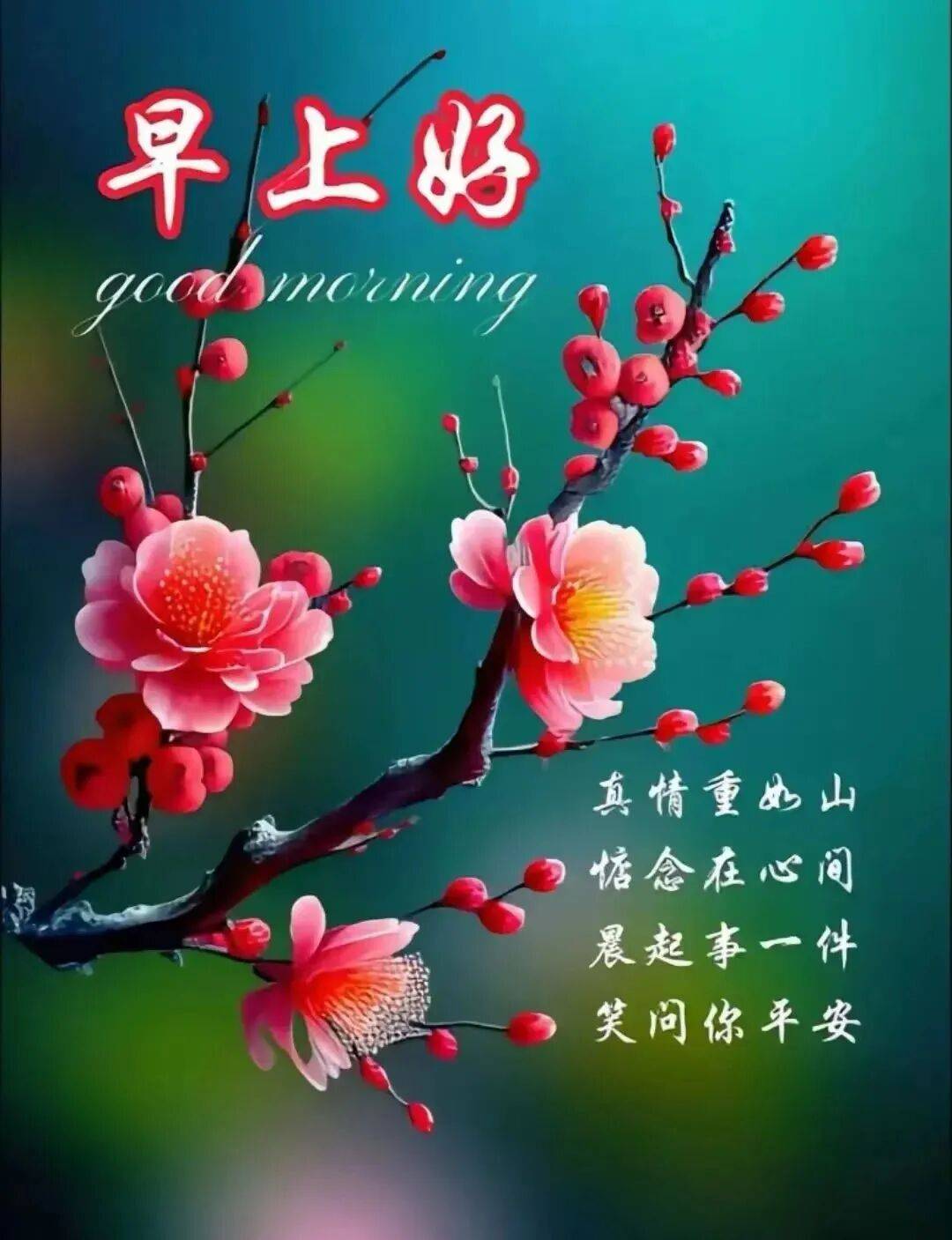 问候早安的句子_纯朴友情真挚问候_清晨祝福温暖关怀