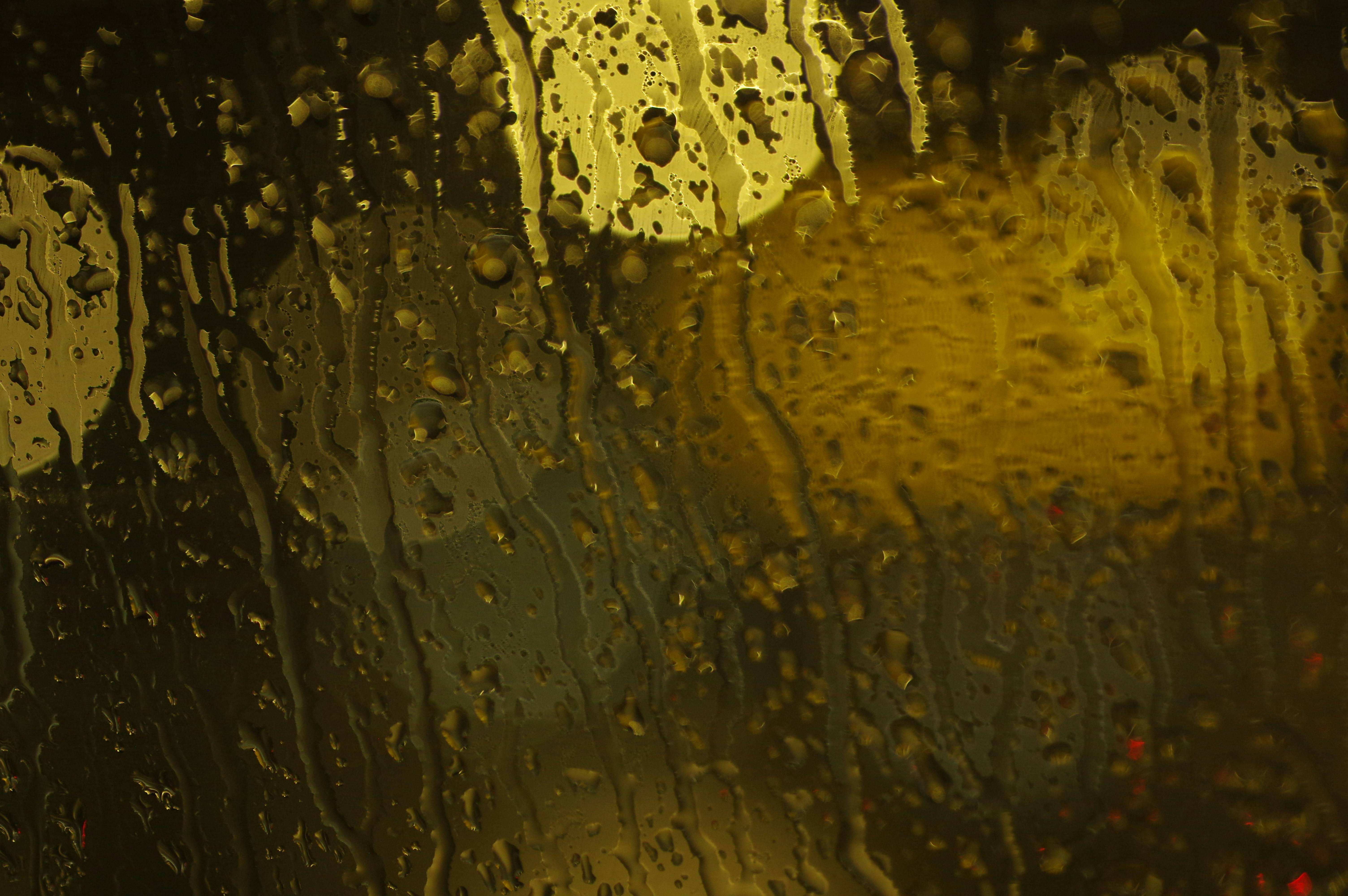 霜降养生 | 男人必吃3种食物，强健体魄，轻松入秋