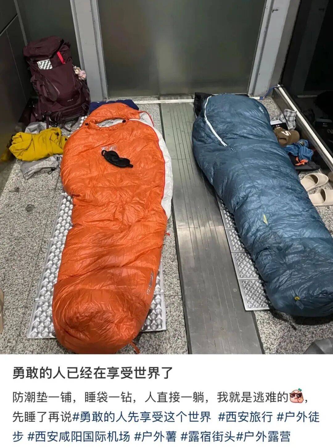 帐篷大酒店，收留了多少不想被割的年轻人