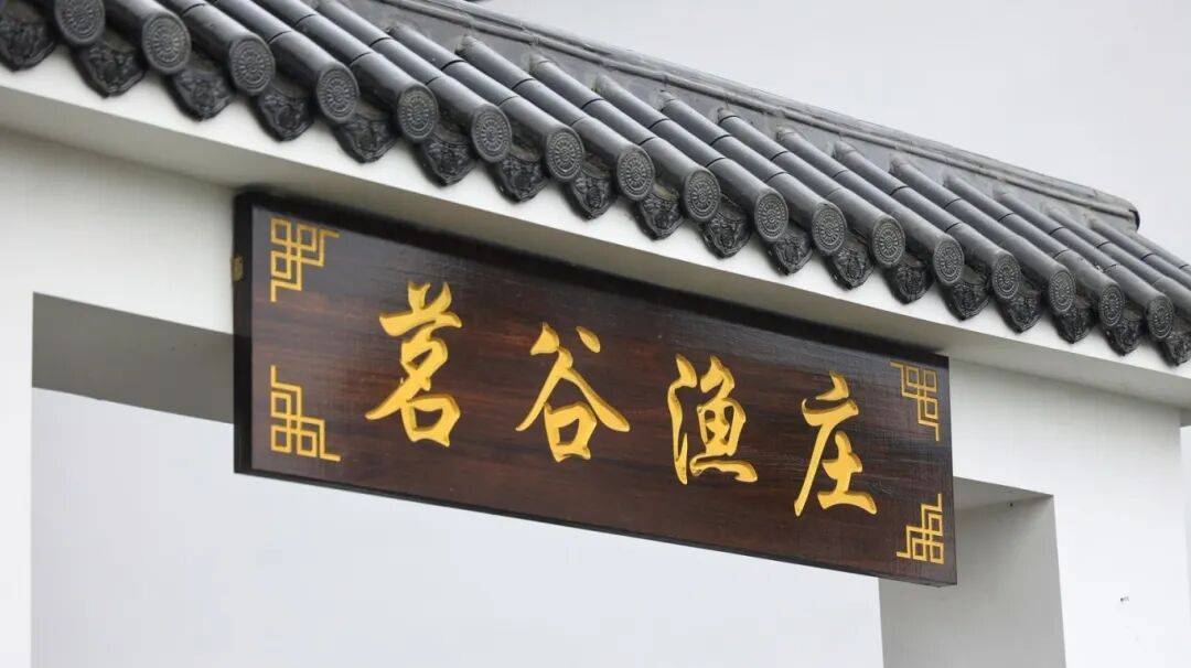 这个秋天相约金寨，四日游攻略请收好｜皖美秋日