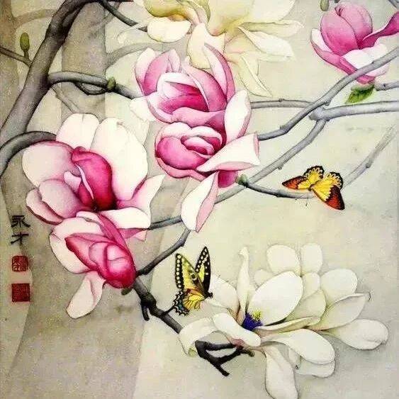 名家笔下的工笔玉兰花荟萃_喻继高_白霓裳_于非闇