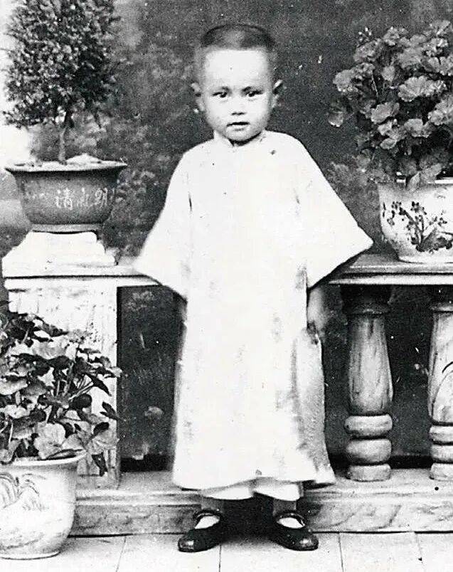 杨振宁:父亲和我_清华园_中国_杨武之