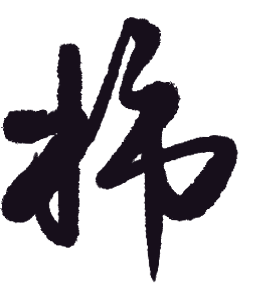 【科普知识】滴滴~你今天吃柿子了吗？