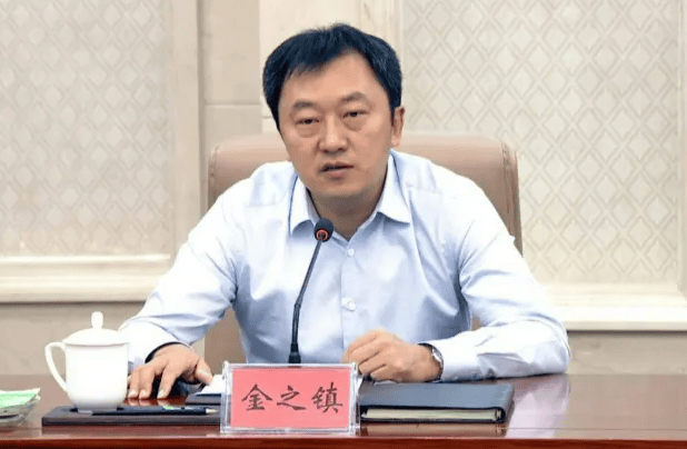 打虎!金之镇被查