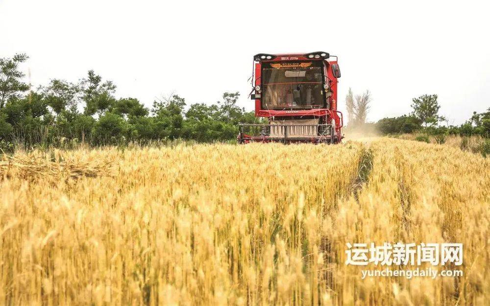 图片[11]-中国烧饼入选“全球50种最佳面包”！网友：光山西就能单开一个“烧饼宇宙” -华闻时空