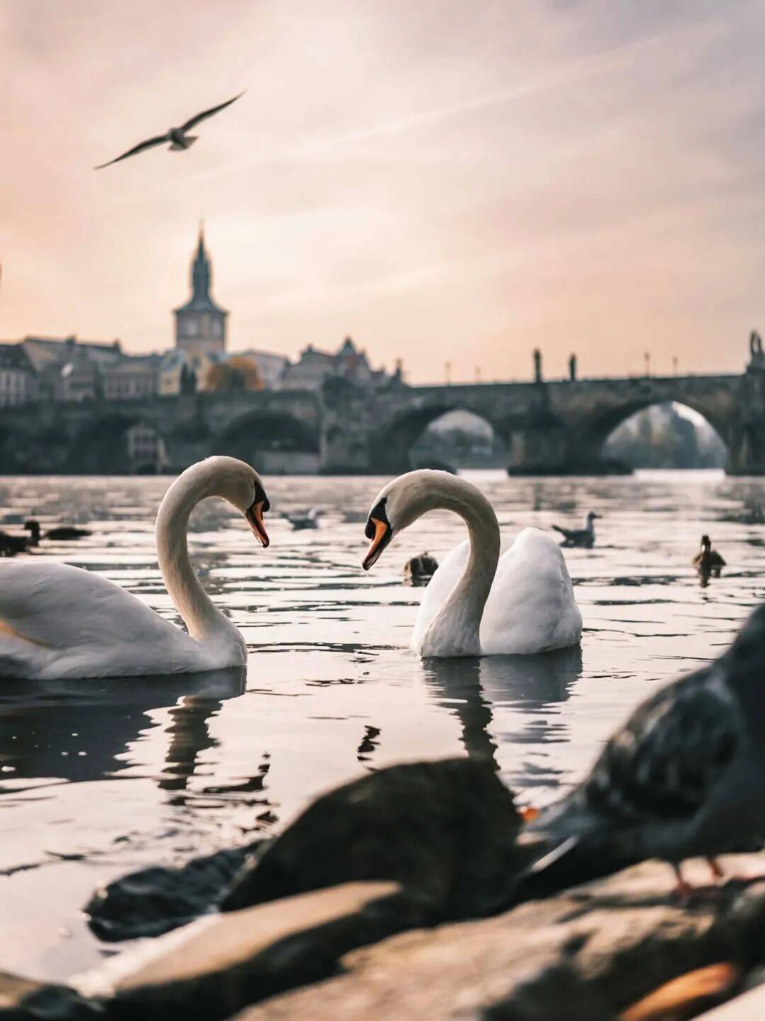 图片[31]-欧洲的这几所大学，满足了我对古老大学的向往 -华闻时空