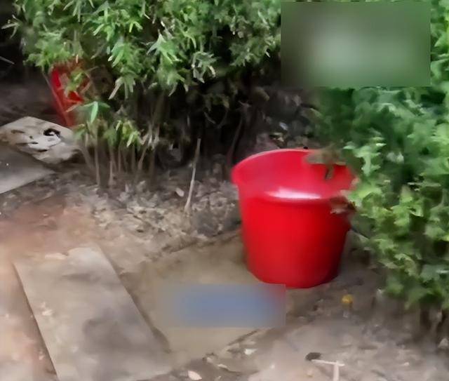 九江一公园摆3个尿桶供人露天小便，不到百米外就有公厕