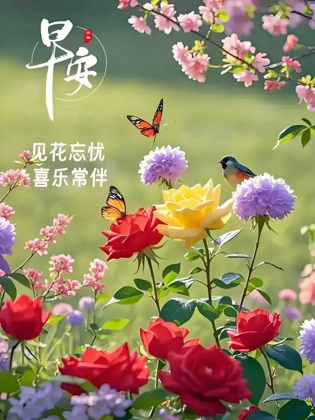 早上好最新版早上好图片精选 早安祝福图片带字 漂亮祝福,愿你好运