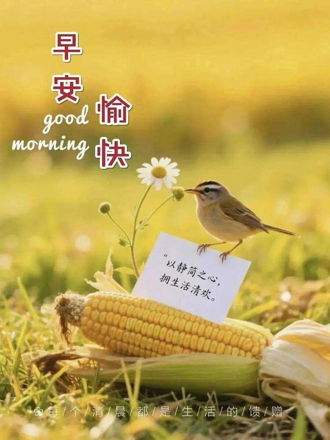 阳光好_治愈_日子