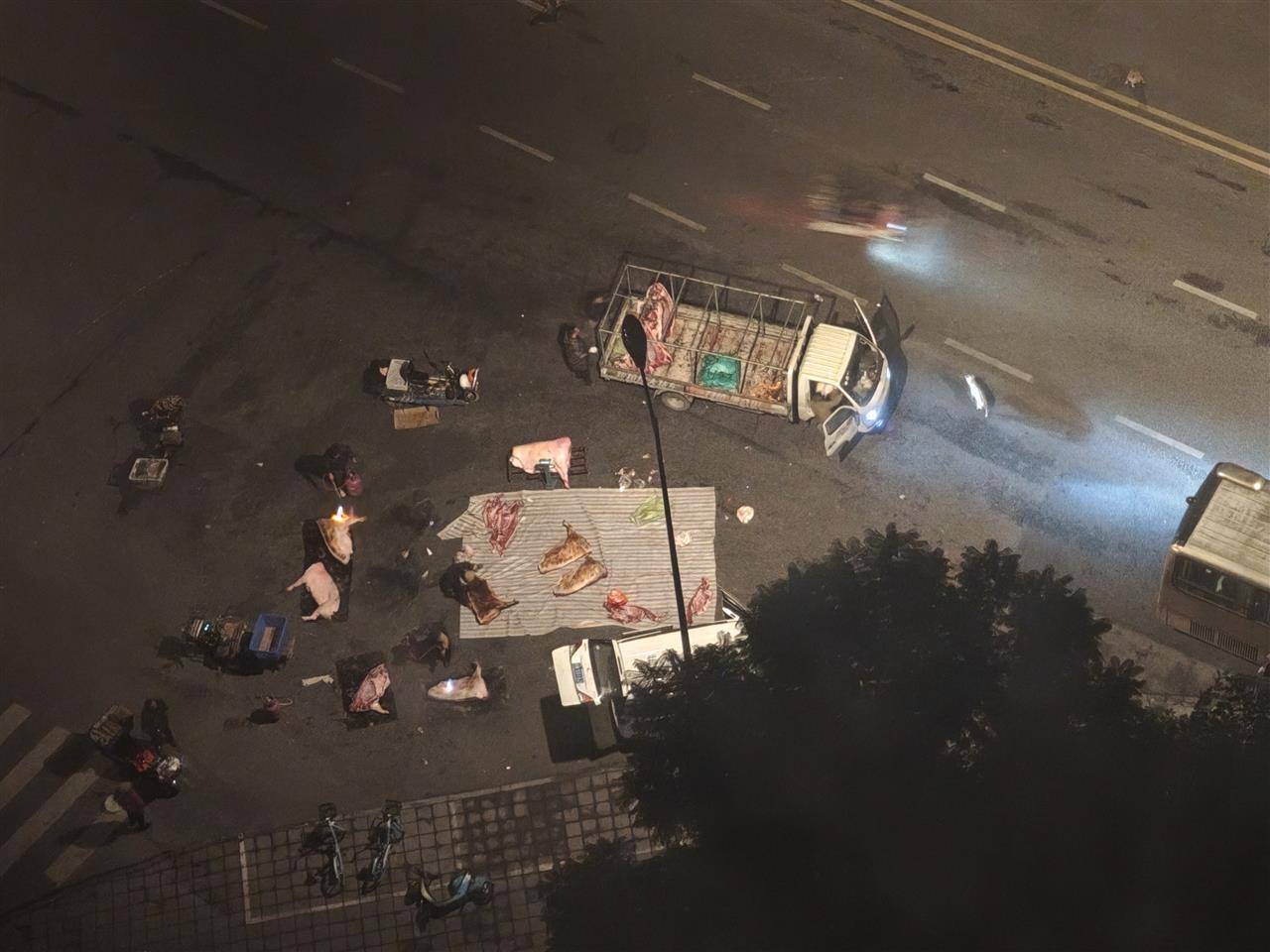 成都街头凌晨惊现“流动猪肉摊”，一群人在路边地上剁猪肉为摊贩供货，当地回应