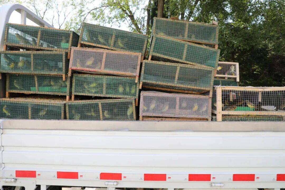 辽宁警方破获特大案件