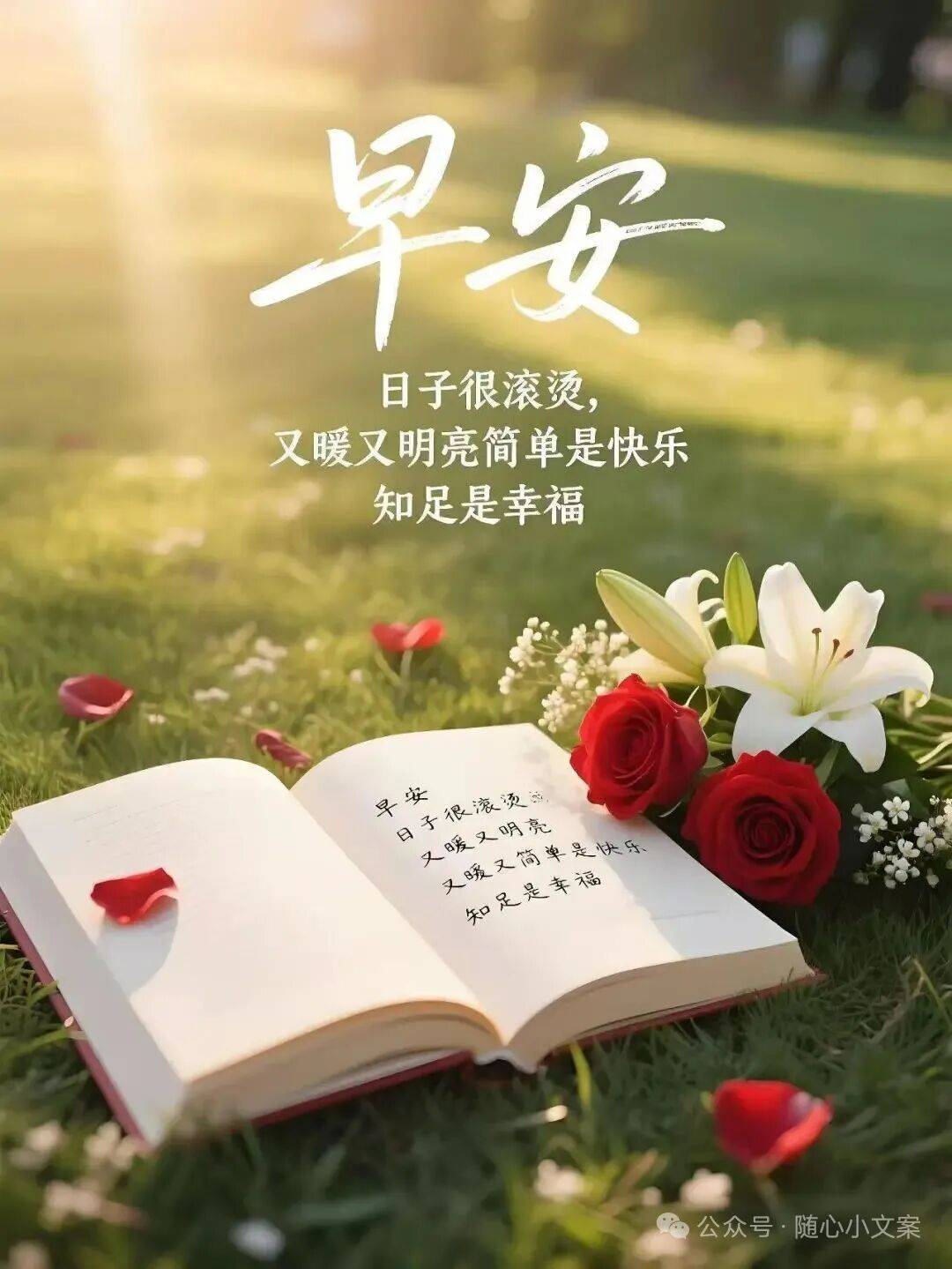 2025年11月15日最新版早上好图片精选 早安祝福图片带字初冬渐寒愿